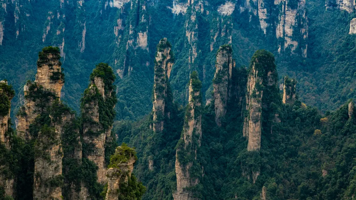 Sandstone pillar mountains and forest in Zhangjiajie